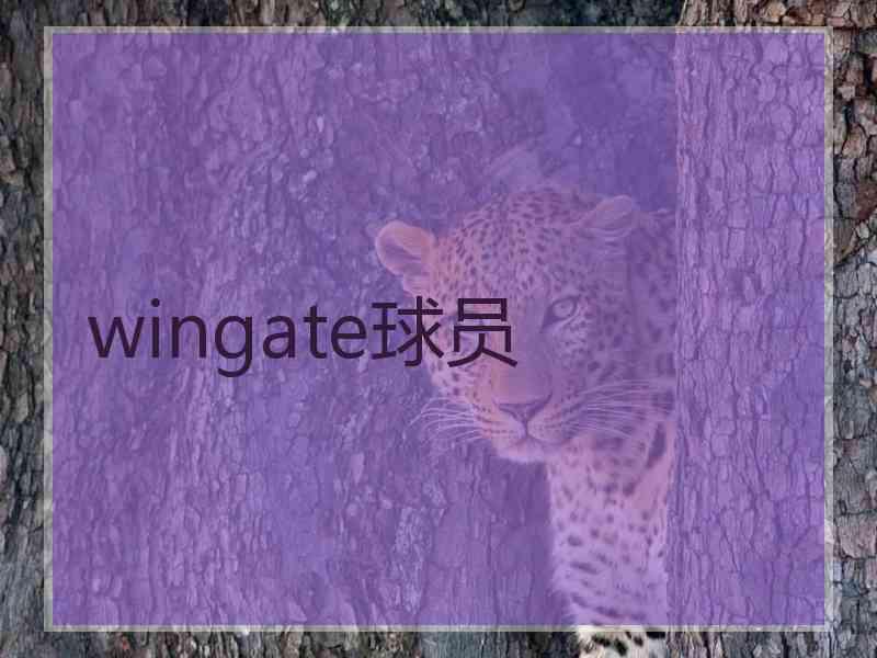 wingate球员