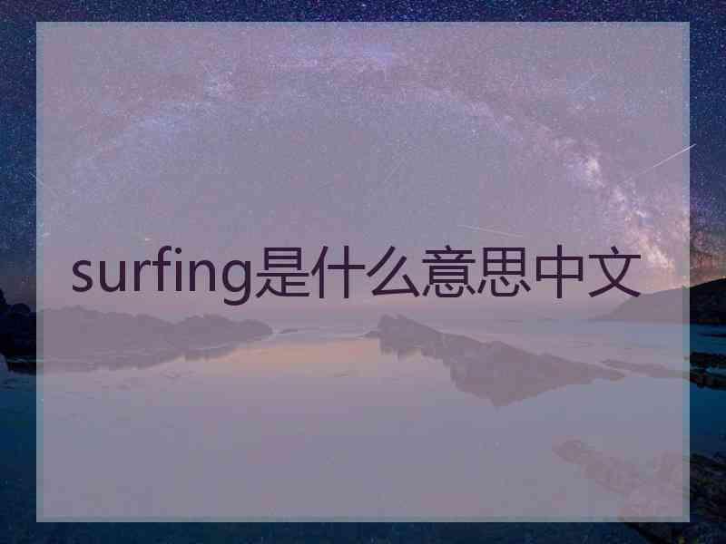 surfing是什么意思中文