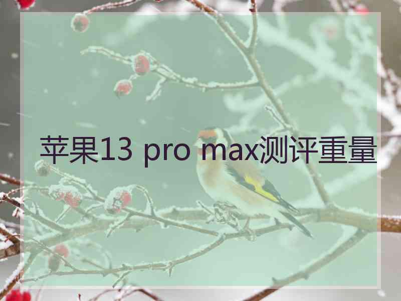 苹果13 pro max测评重量