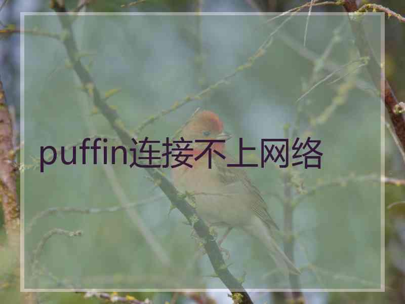 puffin连接不上网络