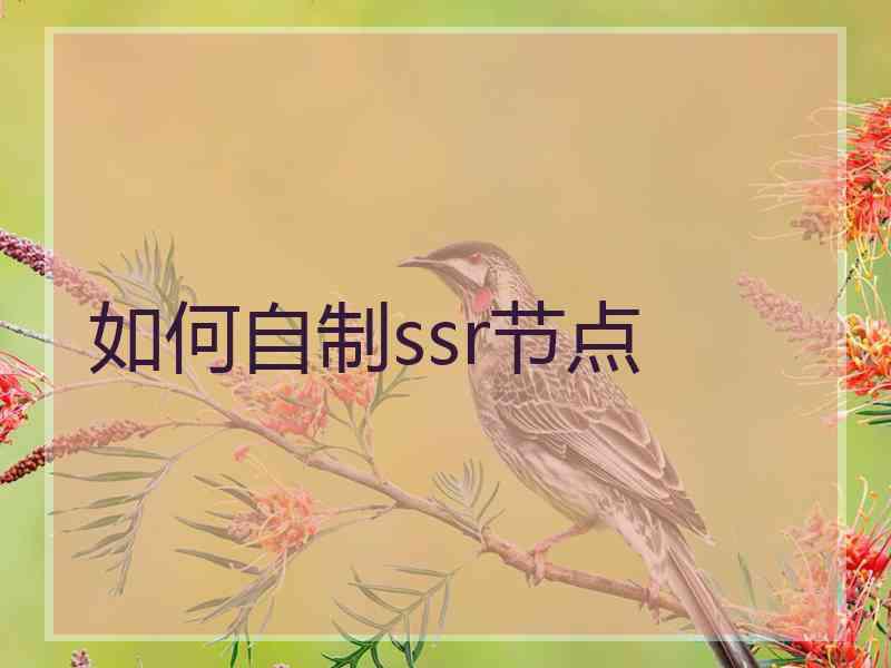 如何自制ssr节点