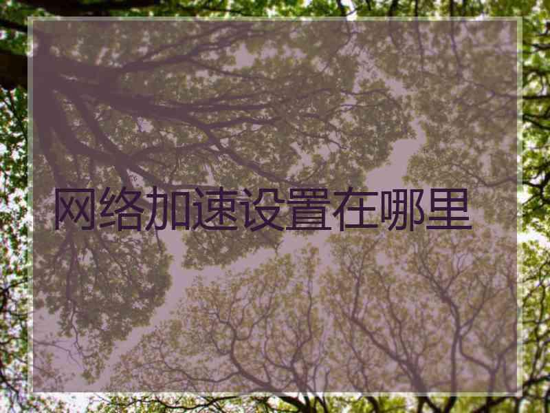 网络加速设置在哪里