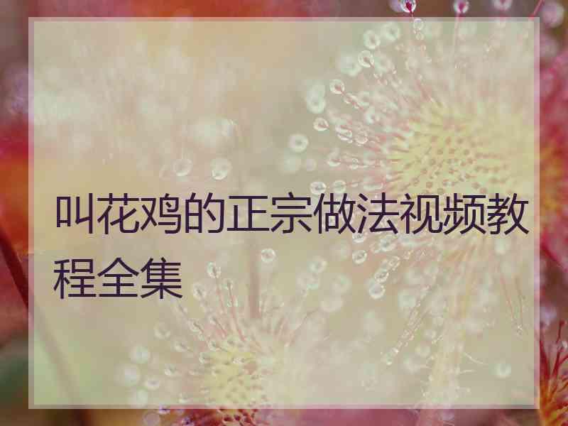 叫花鸡的正宗做法视频教程全集