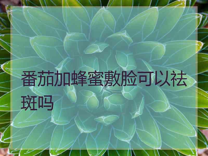 番茄加蜂蜜敷脸可以祛斑吗