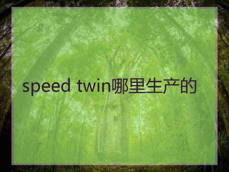 speed twin哪里生产的