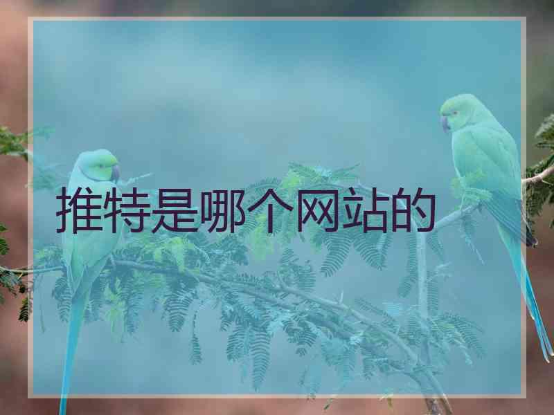 推特是哪个网站的