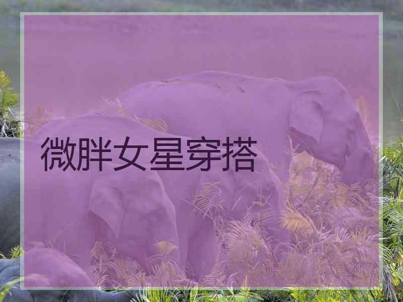 微胖女星穿搭