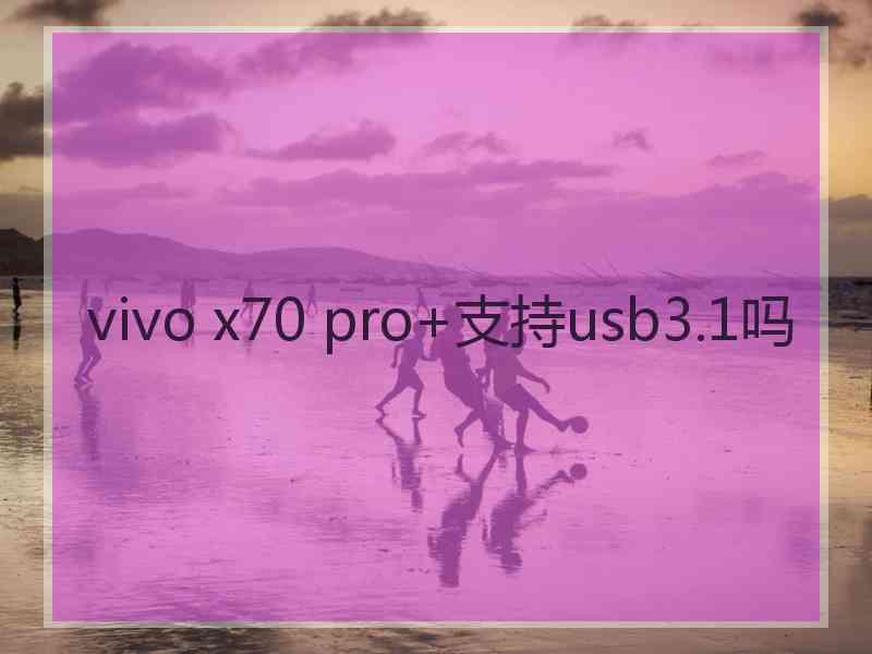 vivo x70 pro+支持usb3.1吗