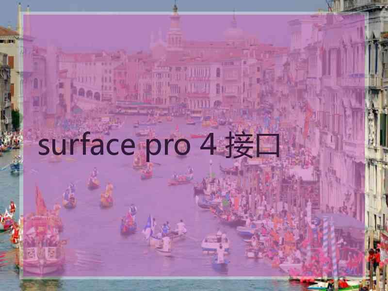 surface pro 4 接口