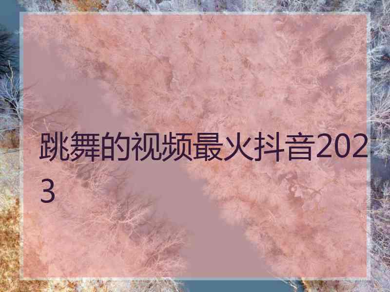 跳舞的视频最火抖音2023