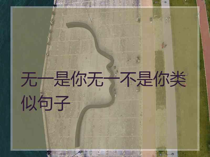 无一是你无一不是你类似句子