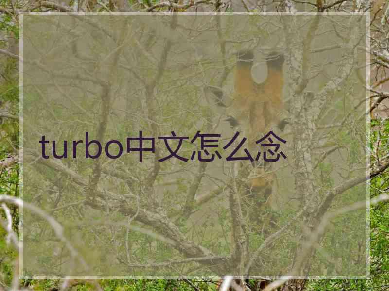 turbo中文怎么念