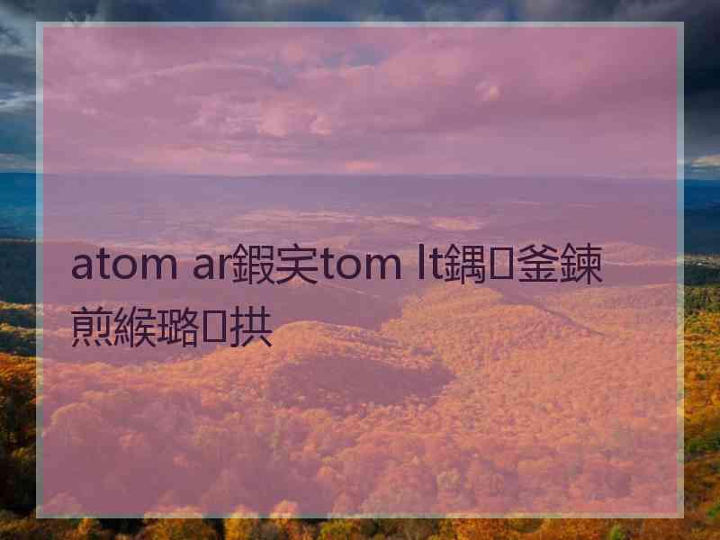 atom ar鍜宎tom lt鍝釜鍊煎緱璐拱