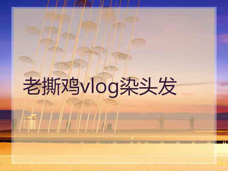 老撕鸡vlog染头发