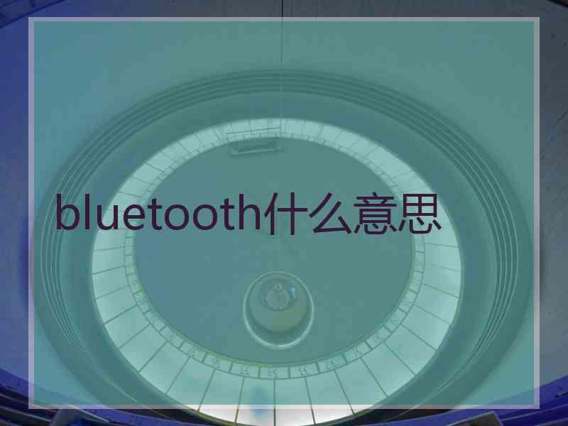 bluetooth什么意思