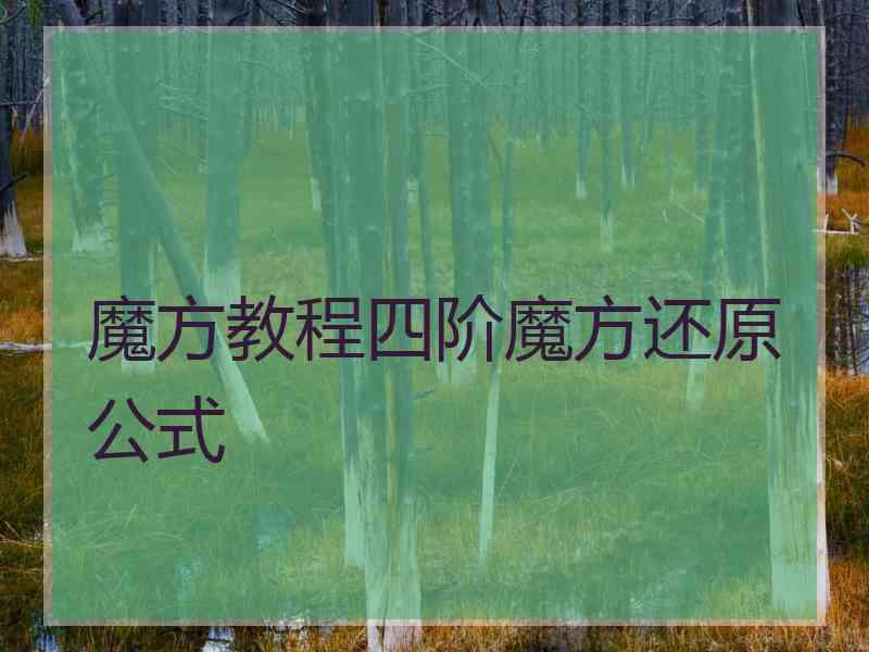 魔方教程四阶魔方还原公式