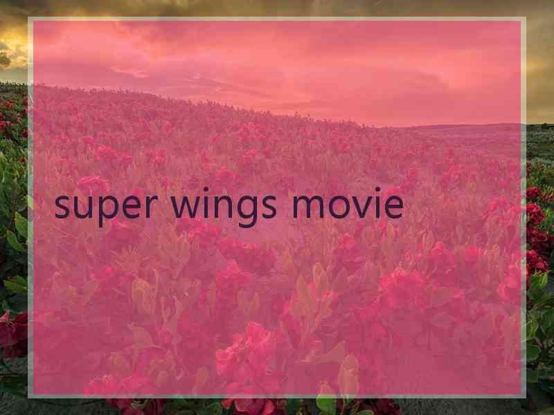 super wings movie