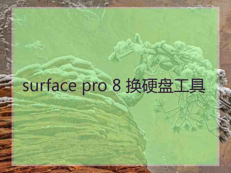 surface pro 8 换硬盘工具