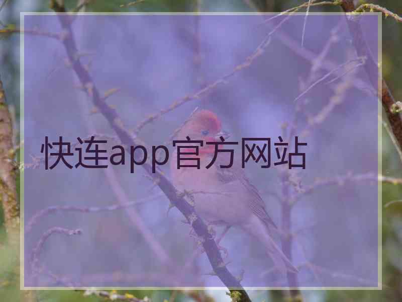 快连app官方网站