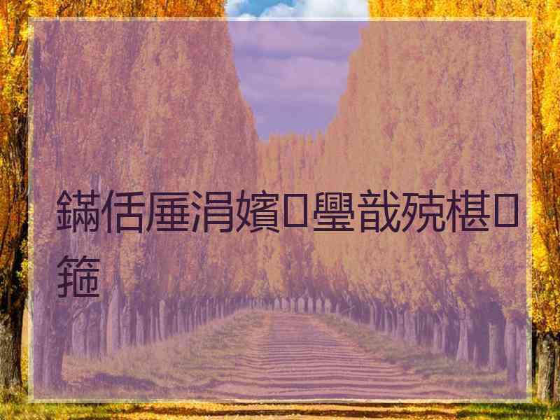 鏋佸厜涓嬪璺戠殑椹箍