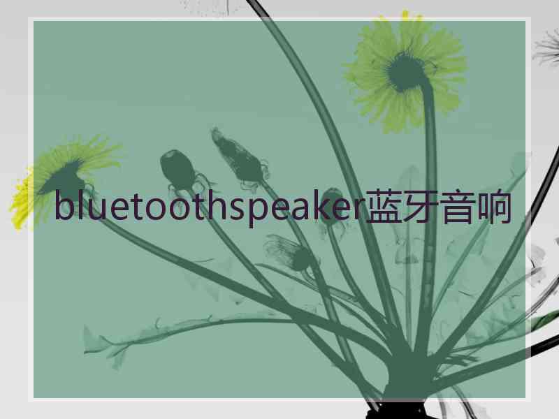 bluetoothspeaker蓝牙音响