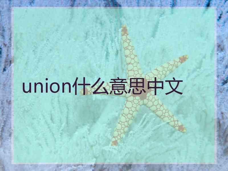 union什么意思中文