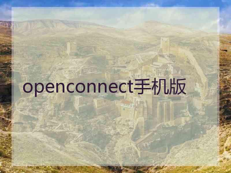 openconnect手机版