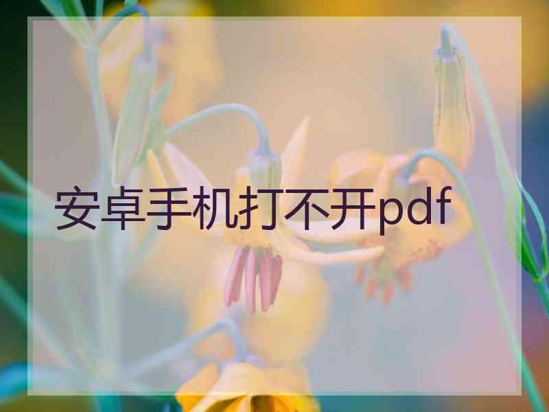 安卓手机打不开pdf