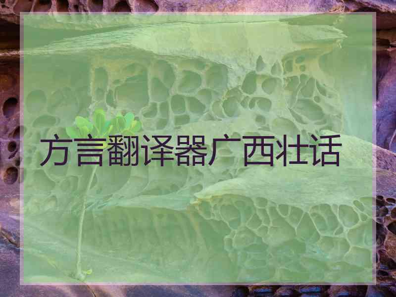 方言翻译器广西壮话