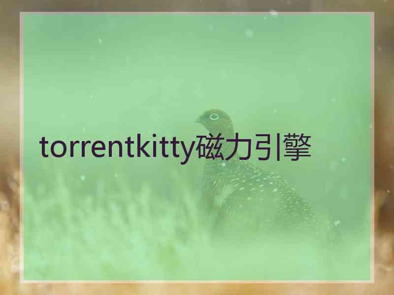 torrentkitty磁力引擎