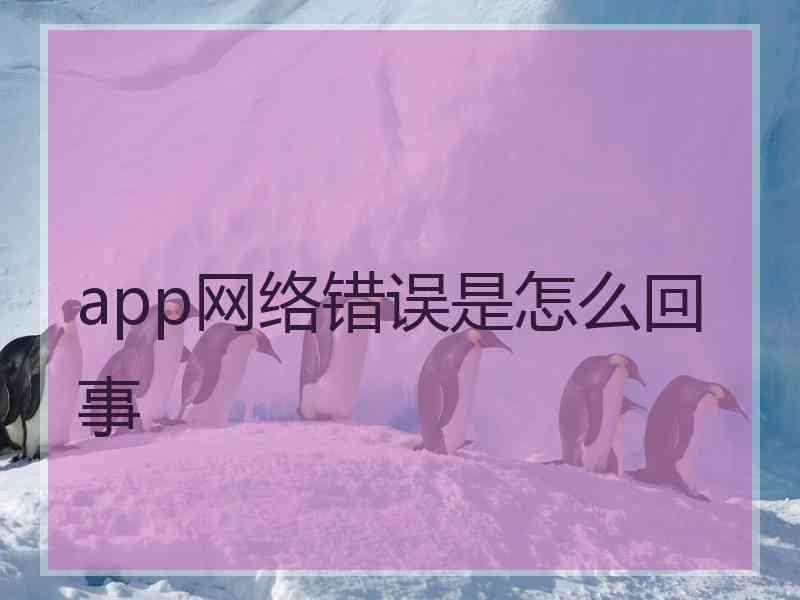 app网络错误是怎么回事