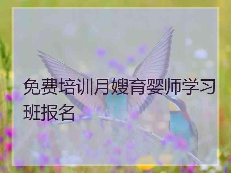 免费培训月嫂育婴师学习班报名