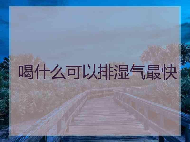 喝什么可以排湿气最快