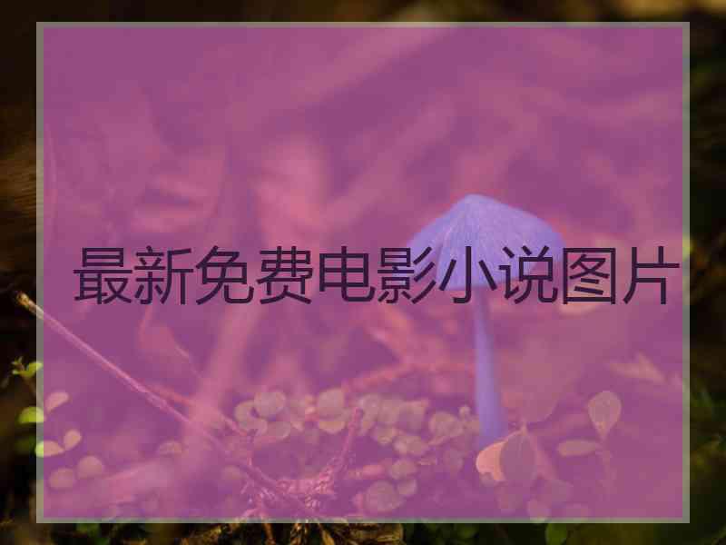 最新免费电影小说图片