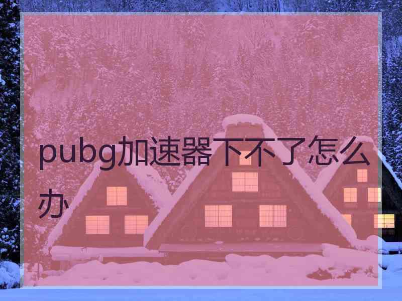 pubg加速器下不了怎么办