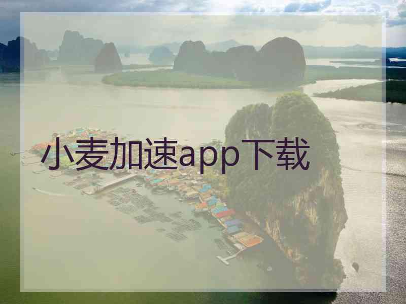 小麦加速app下载