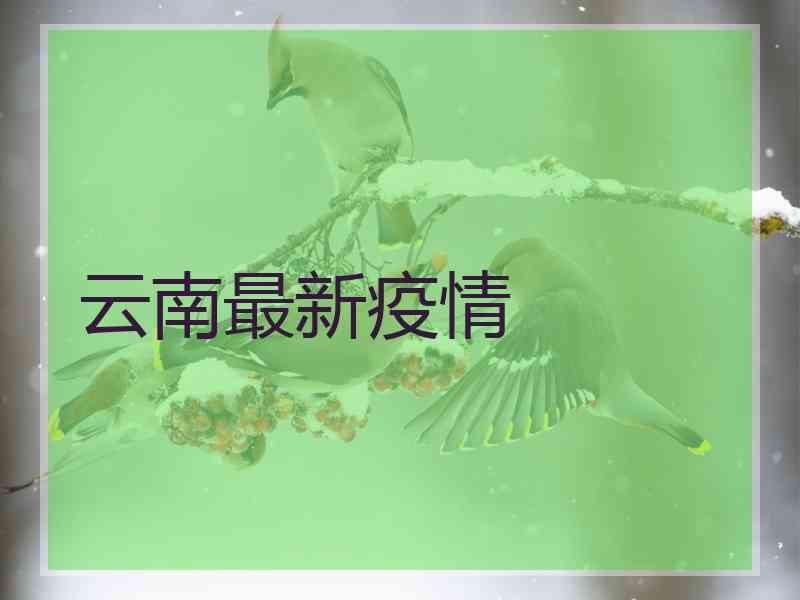 云南最新疫情