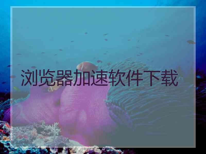 浏览器加速软件下载