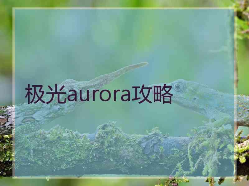 极光aurora攻略