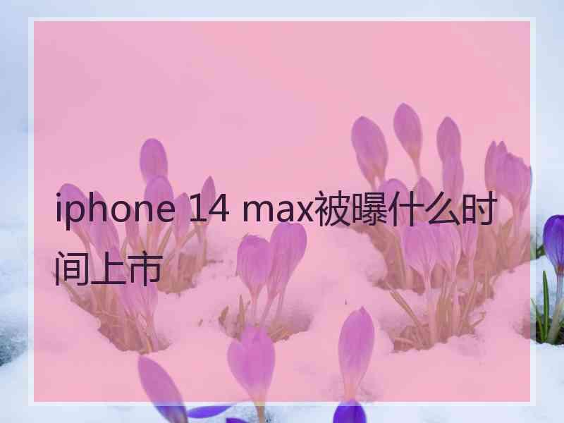 iphone 14 max被曝什么时间上市