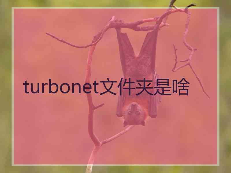 turbonet文件夹是啥