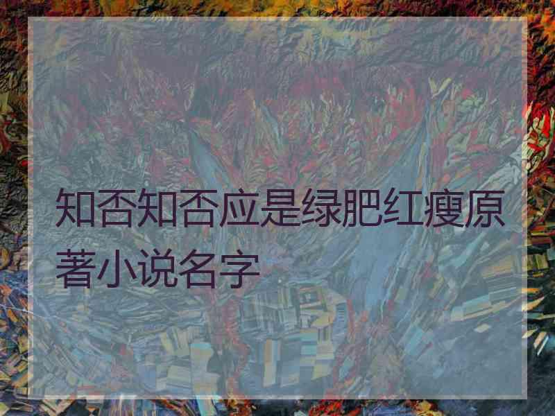 知否知否应是绿肥红瘦原著小说名字