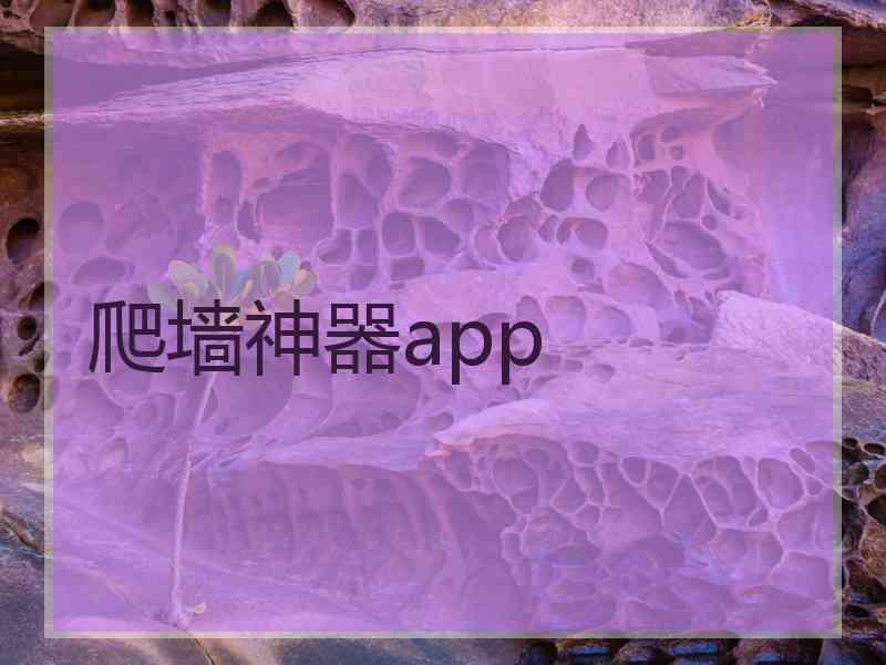 爬墙神器app