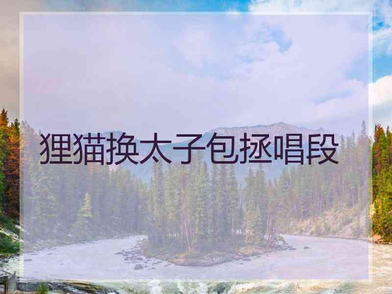 狸猫换太子包拯唱段