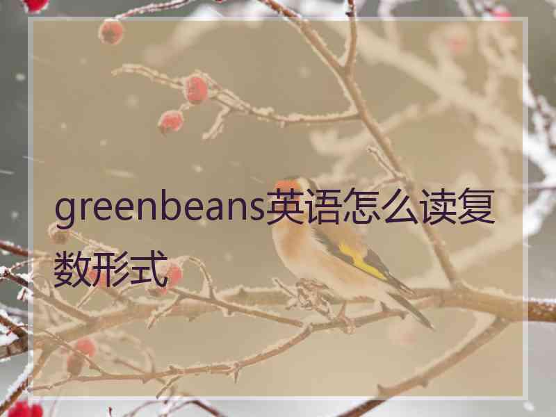 greenbeans英语怎么读复数形式