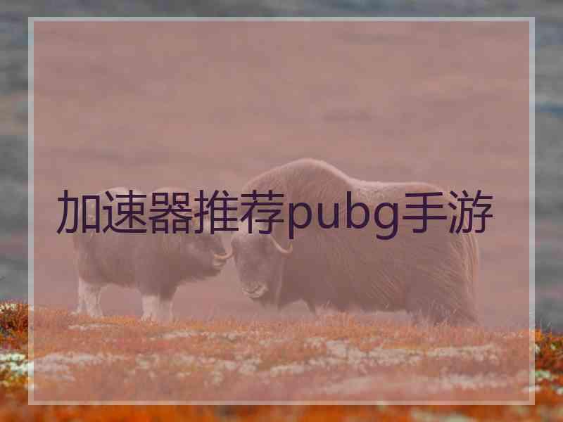 加速器推荐pubg手游