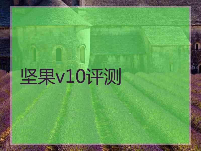 坚果v10评测