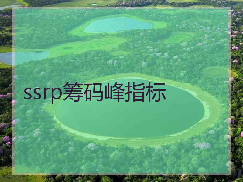 ssrp筹码峰指标