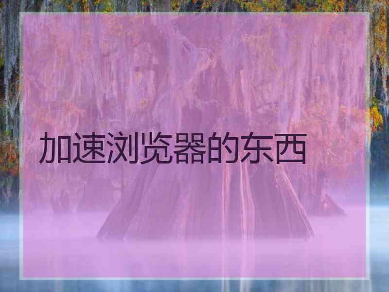 加速浏览器的东西