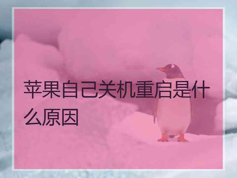 苹果自己关机重启是什么原因